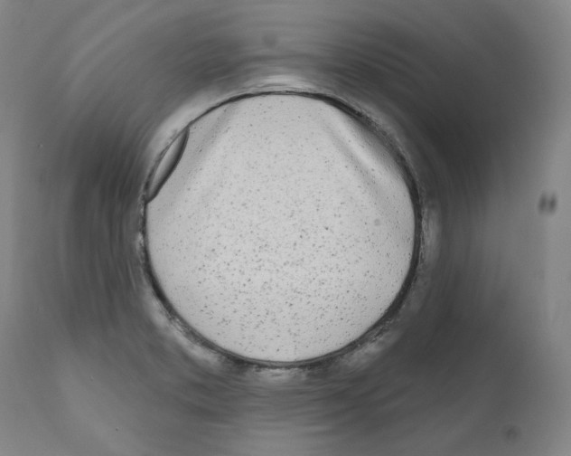 X0000110901373200907301556