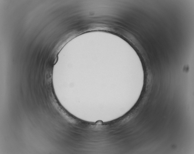 X0000110901377200907301556