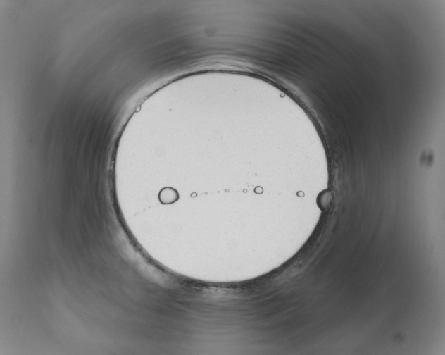 X0000110901379200907301556