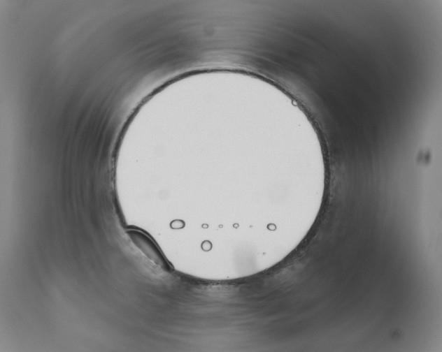 X0000110901380200907301556