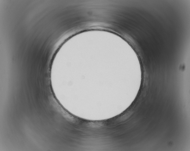 X0000110901384200907301556