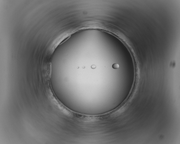 X0000110901385200907301556