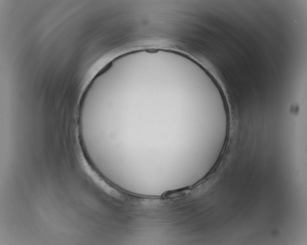 X0000110901389200907301556