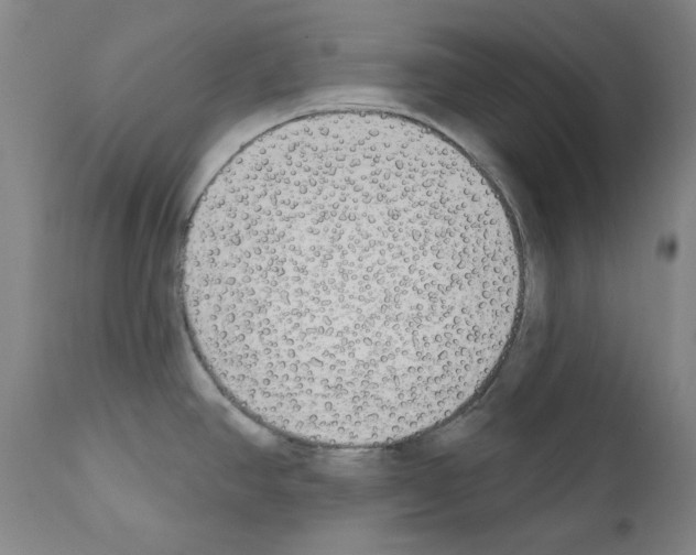 X0000110901390200907301556