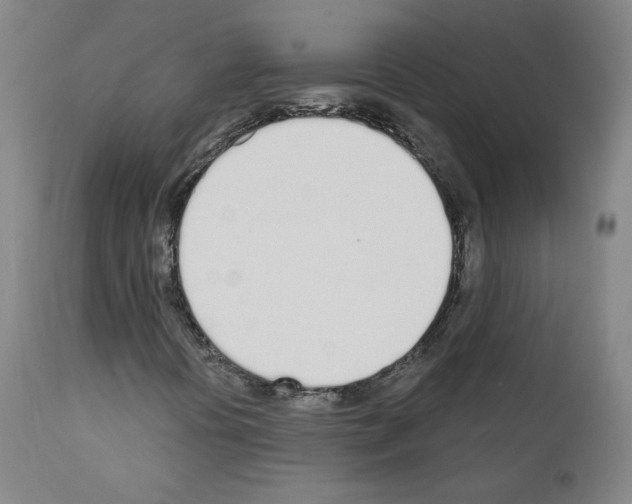 X0000110901394200907301555