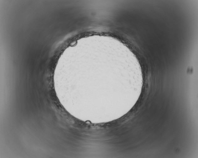 X0000110901398200907301555