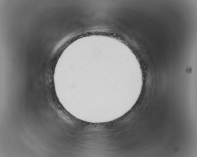 X0000110901400200907301555