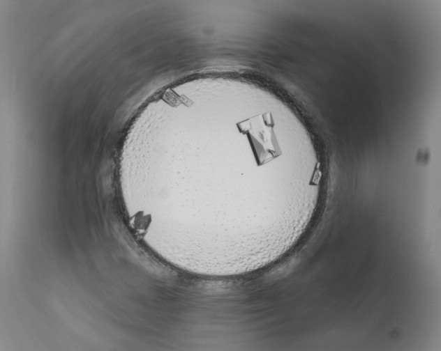 X0000110901401200907301555