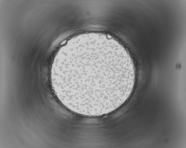 X0000110901402200907301556