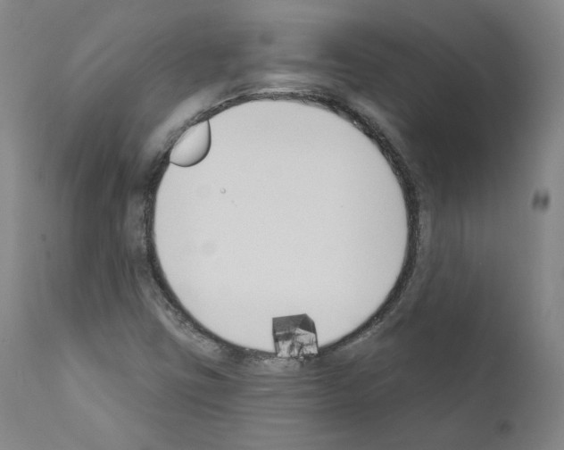 X0000110901403200907301556