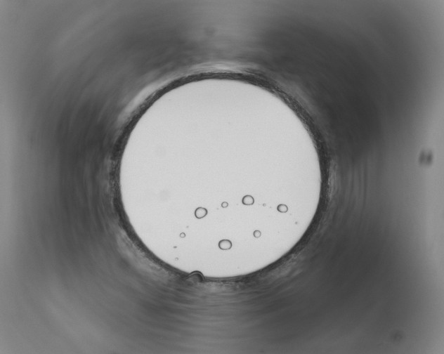 X0000110901404200907301556