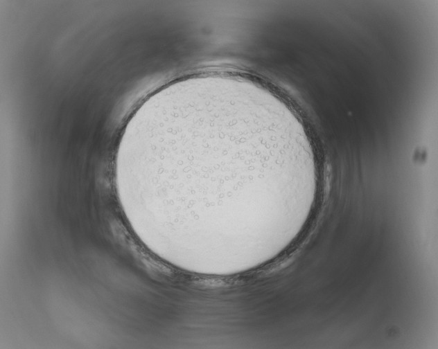 X0000110901405200907301556