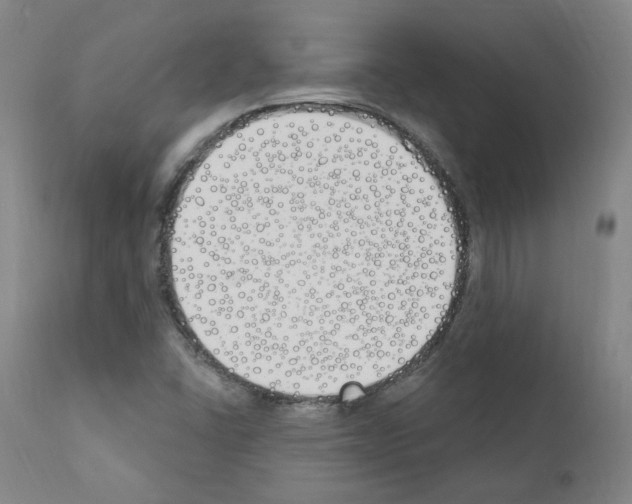 X0000110901406200907301556