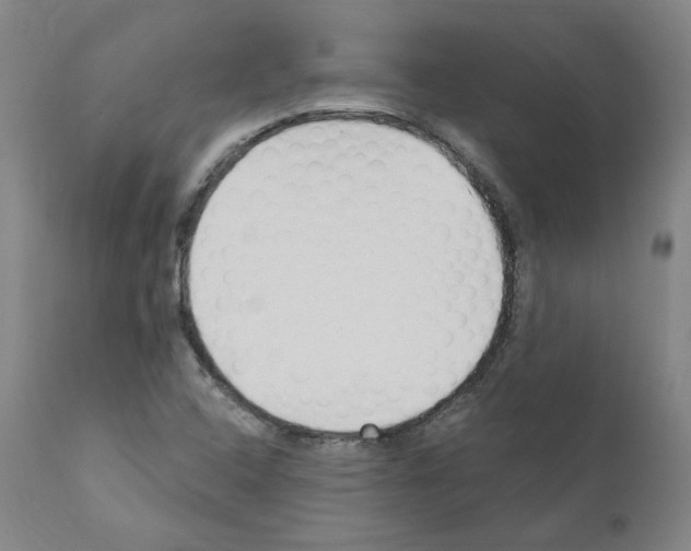 X0000110901408200907301556