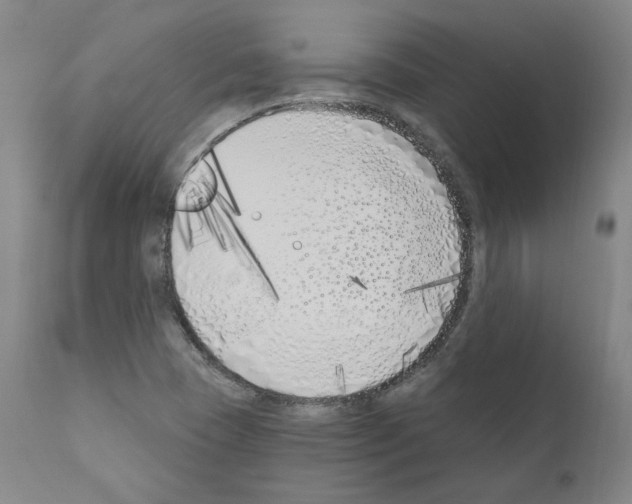 X0000110901409200907301556