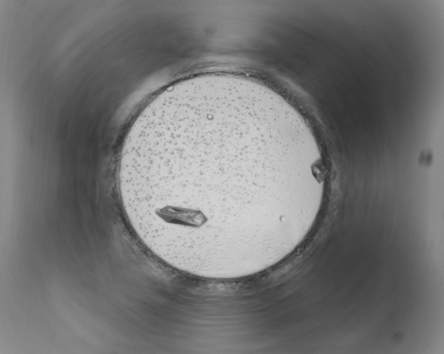 X0000110901411200907301556