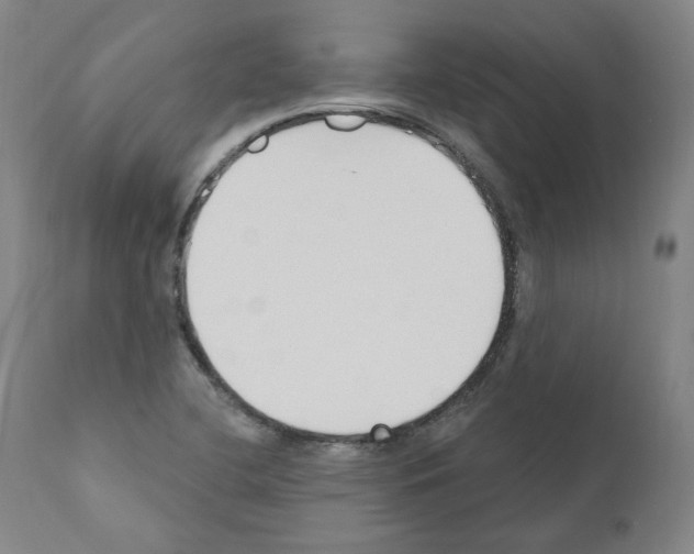 X0000110901412200907301556