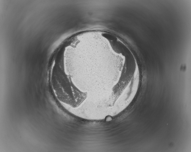 X0000110901414200907301556