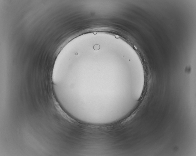 X0000110901417200907301556