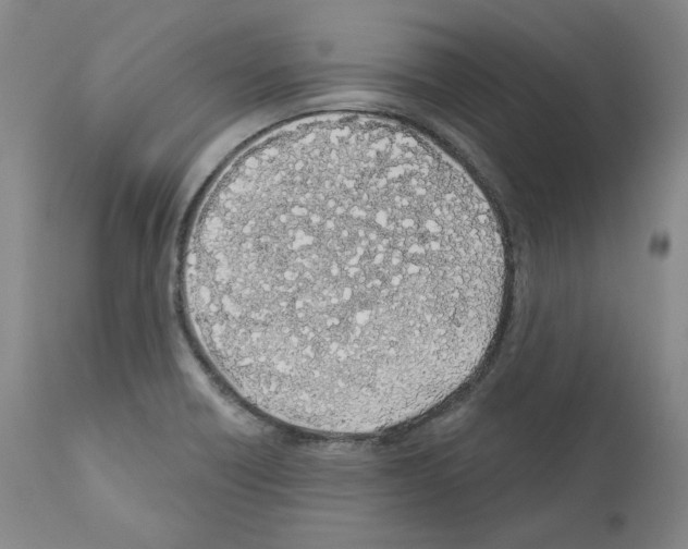 X0000110901418200907301556