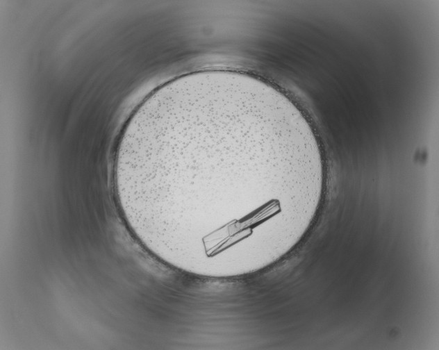 X0000110901419200907301556