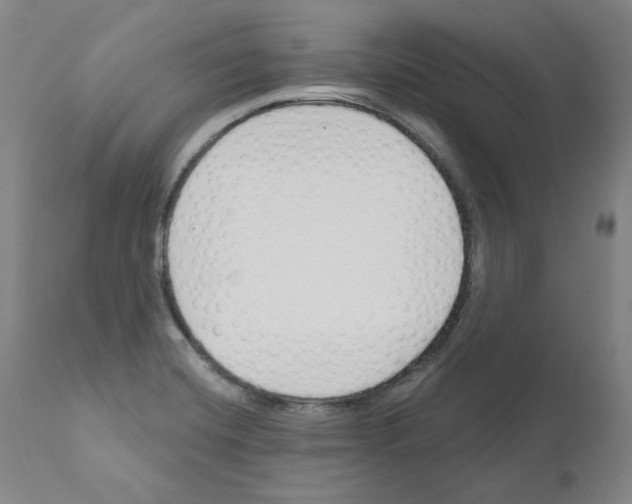 X0000110901420200907301556