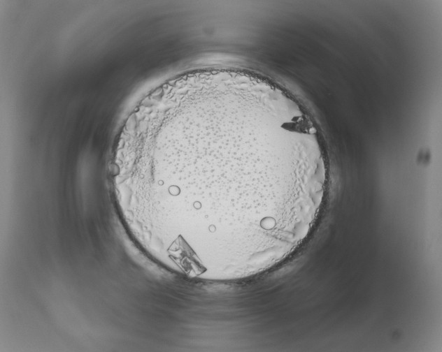 X0000110901421200907301556