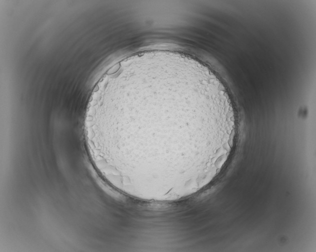 X0000110901425200907301556