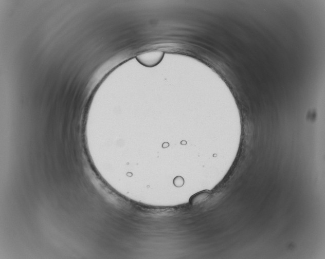 X0000110901426200907301556