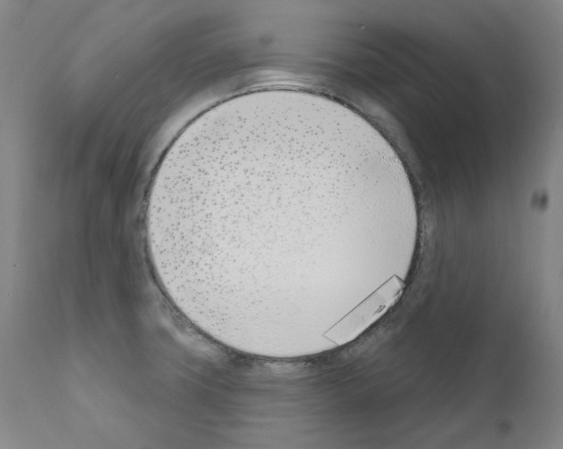 X0000110901427200907301556