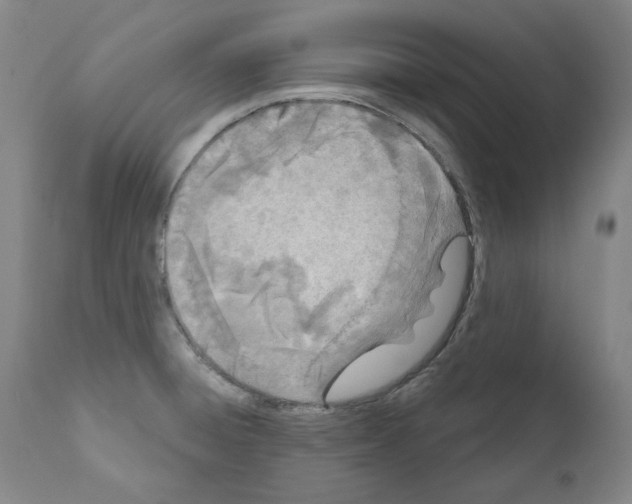 X0000110901428200907301556