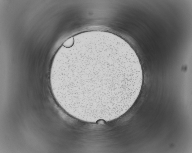 X0000110901430200907301556