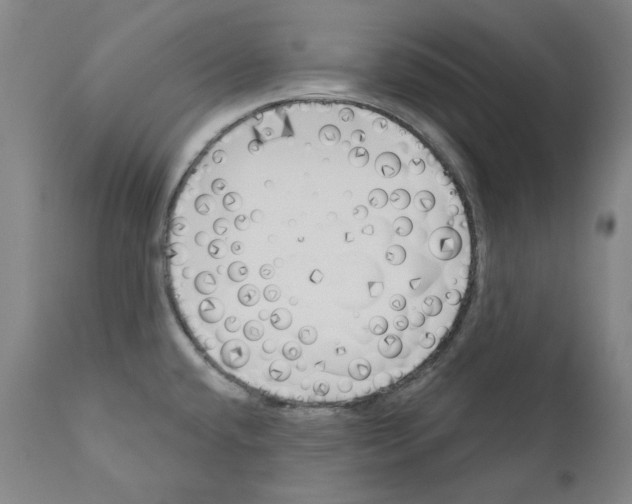 X0000110901432200907301556