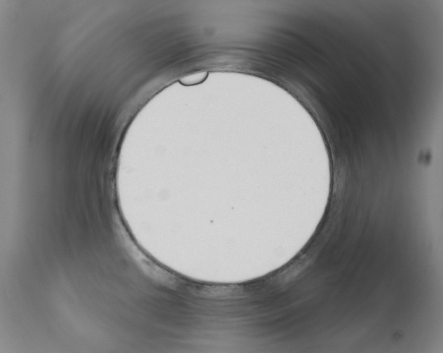 X0000110901434200907301556