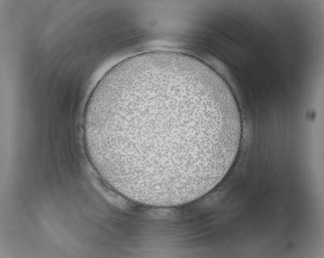 X0000110901435200907301556