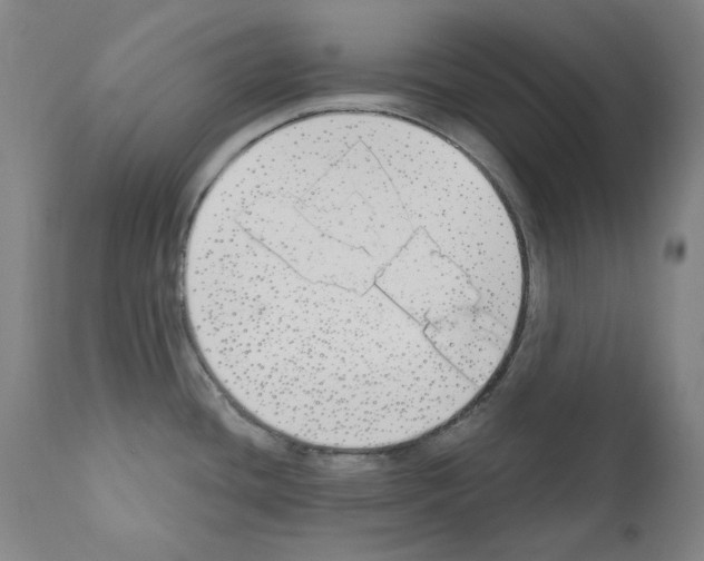 X0000110901436200907301556