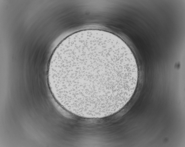 X0000110901438200907301556