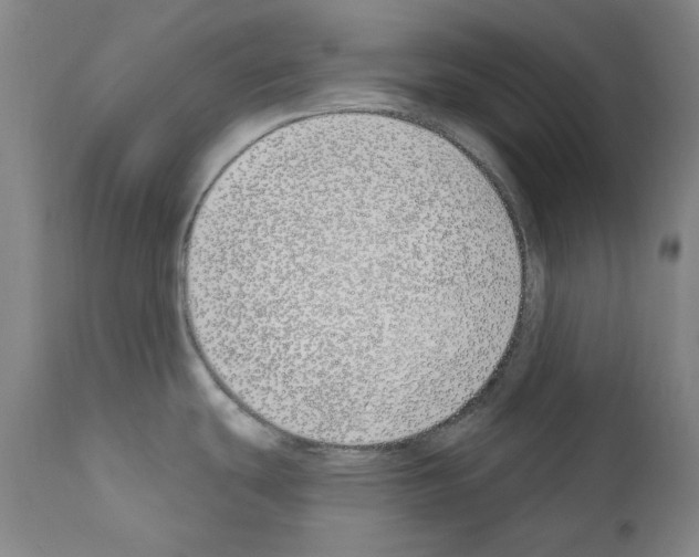 X0000110901439200907301556