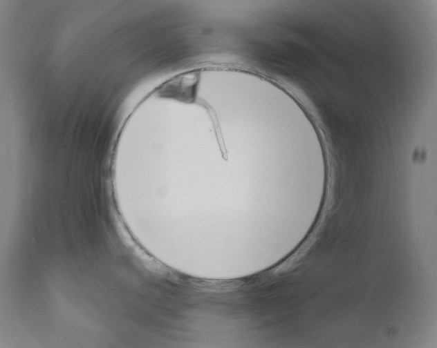 X0000110901440200907301556