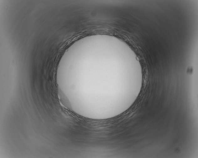 X0000110901441200907301555