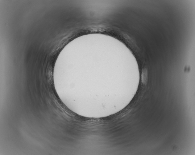 X0000110901444200907301555