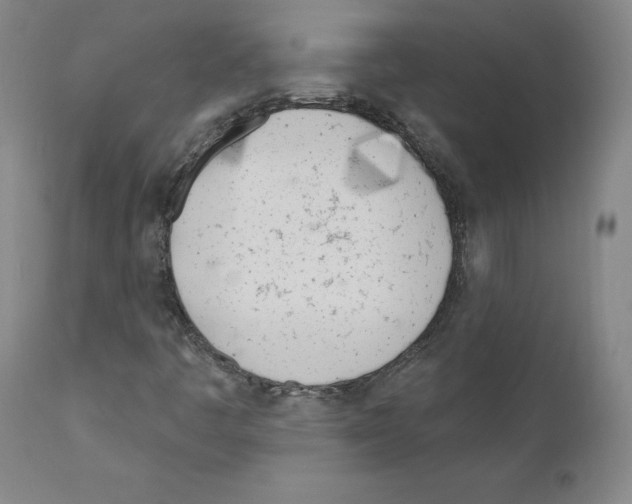 X0000110901445200907301555