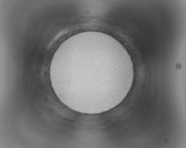 X0000110901446200907301555