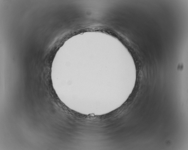 X0000110901447200907301555