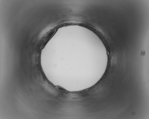 X0000110901448200907301555