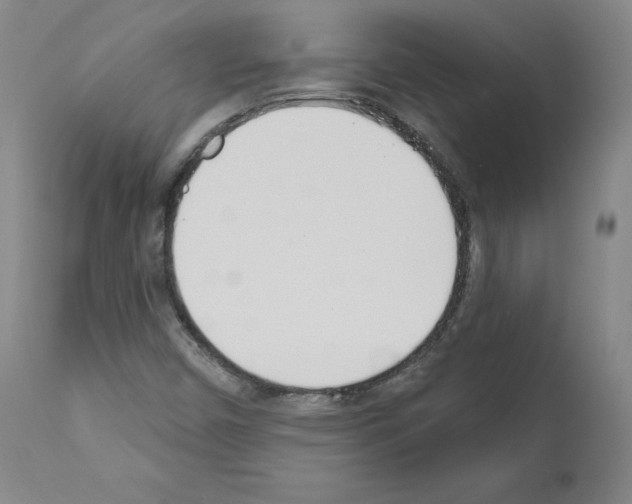 X0000110901450200907301555