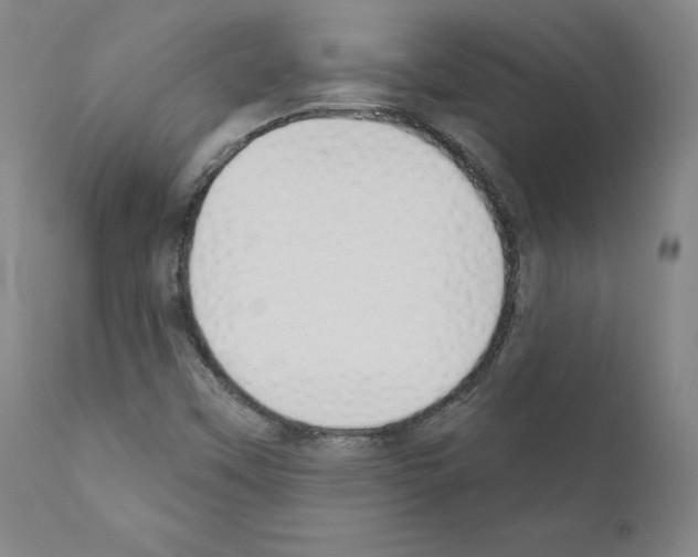 X0000110901451200907301555