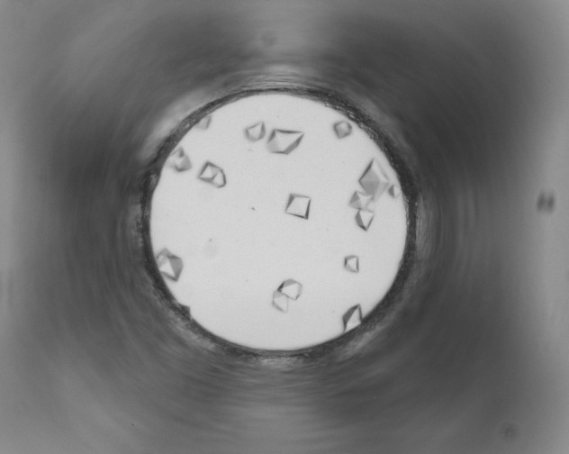 X0000110901453200907301555