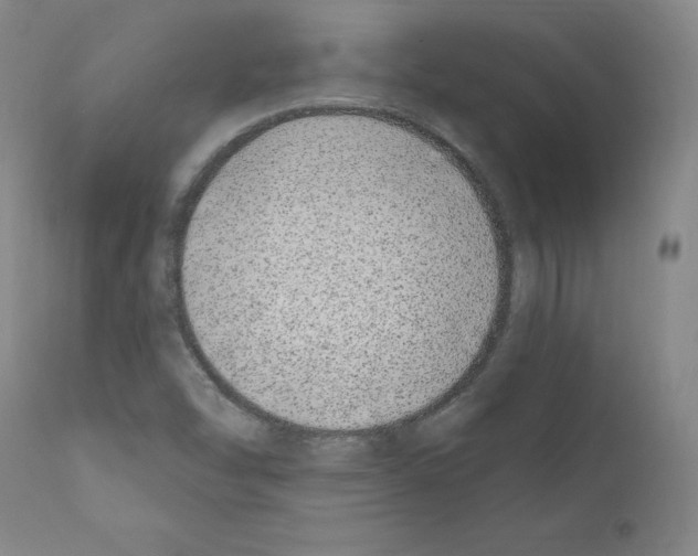 X0000110901454200907301555