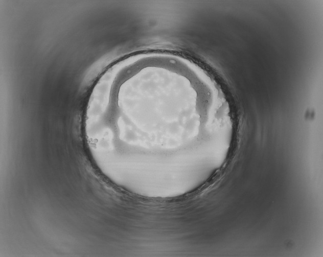 X0000110901455200907301555